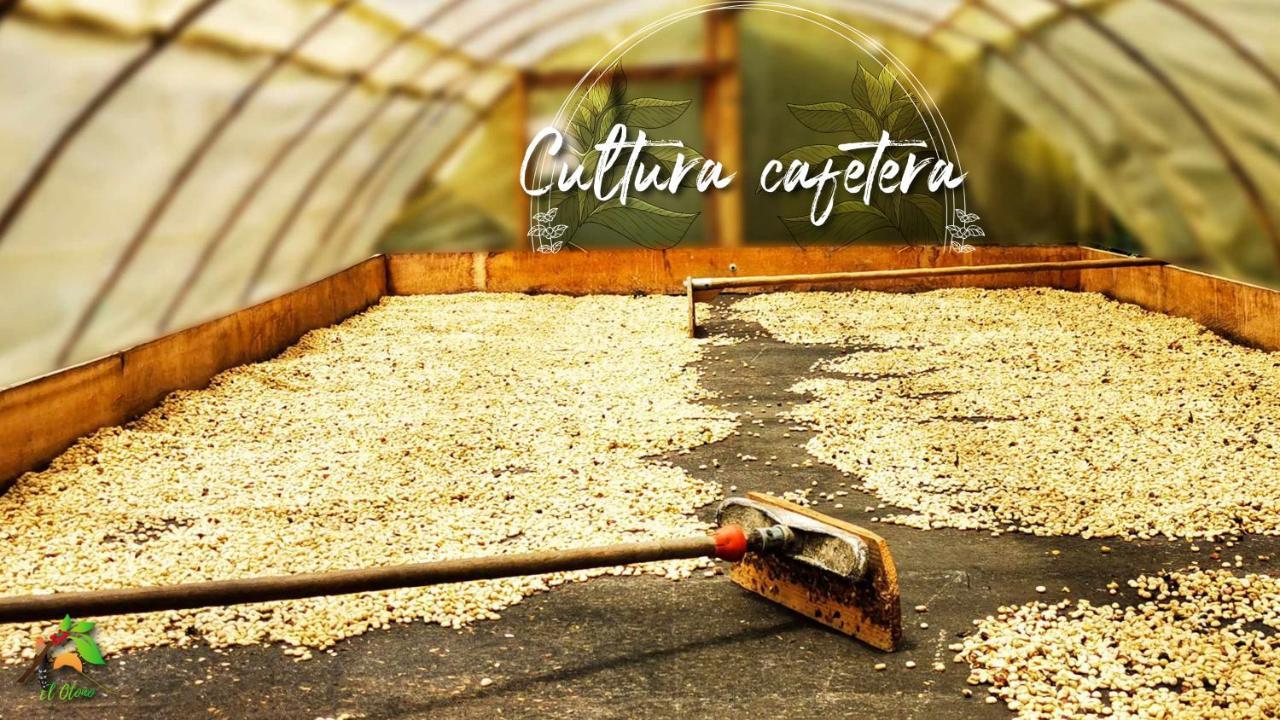 Finca Tradicional El Otono Pijao Екстер'єр фото