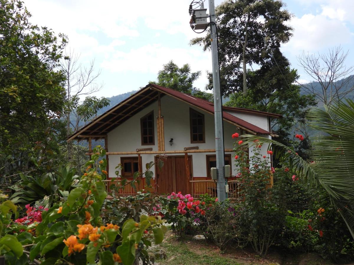 Finca Tradicional El Otono Pijao Екстер'єр фото