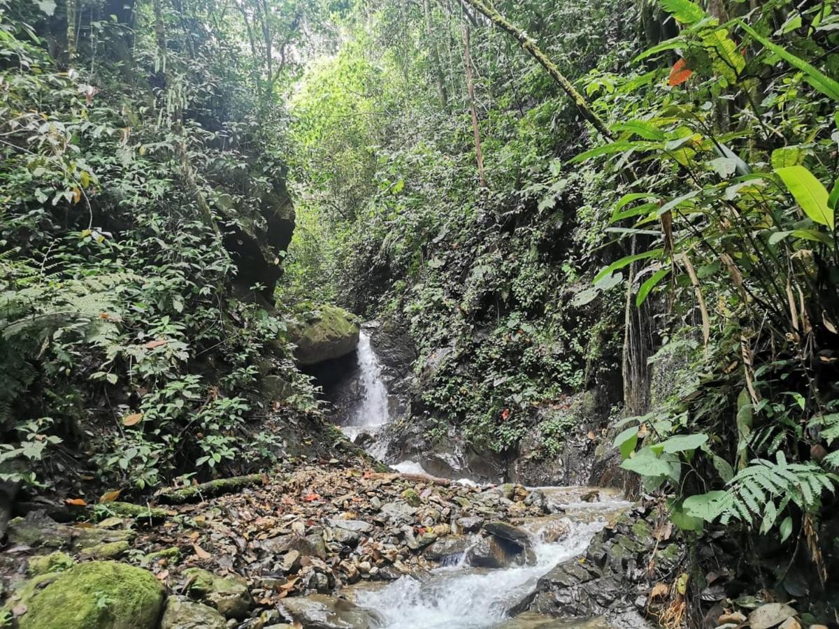 Finca Tradicional El Otono Pijao Екстер'єр фото