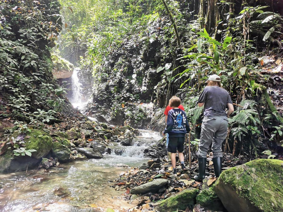 Finca Tradicional El Otono Pijao Екстер'єр фото