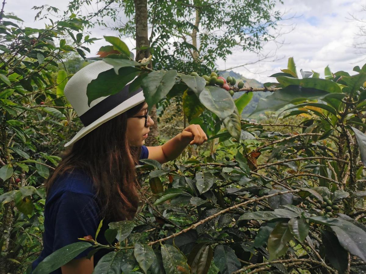 Finca Tradicional El Otono Pijao Екстер'єр фото