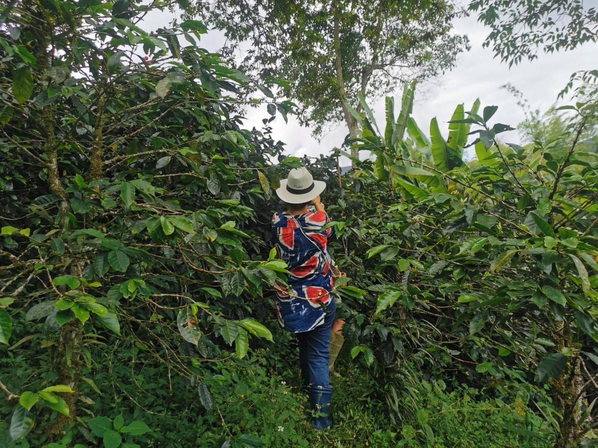 Finca Tradicional El Otono Pijao Екстер'єр фото